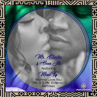 Wanna Love You - MR.ECLECTIC & Sean Ali & MissFly