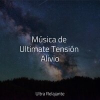 Tiempo Y Espacio - Saludo al Sol Sonido Relajante & Relajarse & Mantra para Dormir