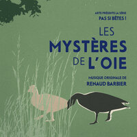 Le manoir des oies - Renaud Barbier