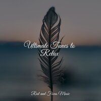 Spiritual Relaxation - Calming Sounds & Studying Music & Sleep Meditation Dream Catcher