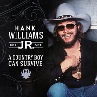 If You Don't Like Hank Williams - Hank Williams Jr.