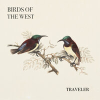 Traveler - Birds Of The West