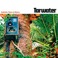 Somewhere - Tarwater