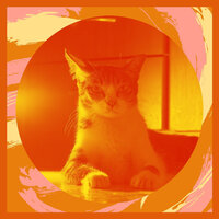 Elegant Music for Home Cats - RelaxMyCat