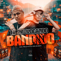 Ta Provocando Bandido - mc peuh & dj gs sheik
