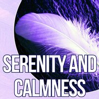 Harmony (Water Sounds) - Relaxing Evening Music Universe