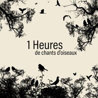 Amour et paix - Zone de la Musique Relaxante
