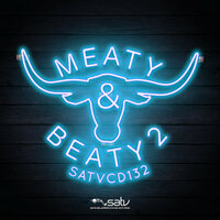 Swan Lake Dubstep Remix - SATV Music