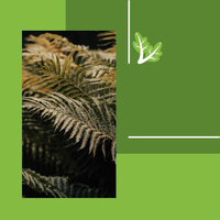 Luxurious Backdrops for Enjoying Nature - Smooth Jazz Bar Lounge Session