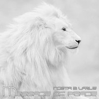 Message of Peace - N2L Presents Nosta 2 Larue & Nosta 2 Larue