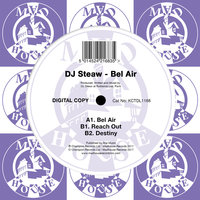 Reach Out - Dj Steaw