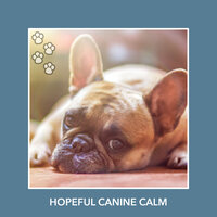 Gracious Dog Moments - Relaxing Dog Music
