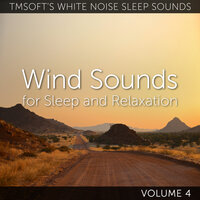 Wind Ambience Peninsula de Paraguana - Tmsoft's White Noise Sleep Sounds