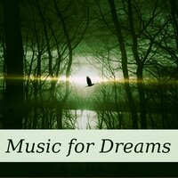 Relax and Have a Deep Sleep - Calm Sleep Through the Night