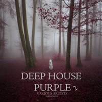 Deep Ride - Nudisco