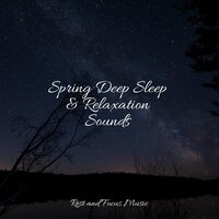 Dreamscape Blossoms - White Noise for Baby Sleep & Alpha Brain Waves & White Noise Therapy