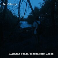 Встречая рассвет в лесу - Dr. Cikoriy