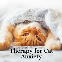 Lazy Afternoon - Jazz Music for Cats
