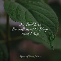 Start of Eternity - Monarch Baby Lullaby Institute & Musica Relaxante & Avslappning Sound