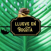 Anguillita - Frenmad
