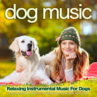 The Best Music for Man's Best Friend - Dog Music & Calming Music For Pets & Sleeping Music For Dogs