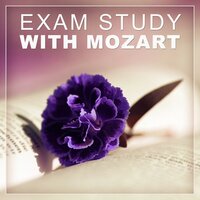 8 Variations on a Theme by Count Waldstein in C Major, WoO 67 - Effective Exam Study Music Academy & Ludwig van Beethoven