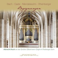 Organ Sonata No. 3 in G Major, Op. 88 "Pastoral-Sonate": I. Pastorale. Con moto - Albrecht Koch