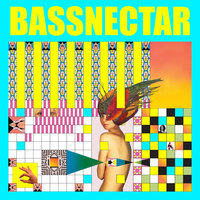 Flash Back - Bassnectar