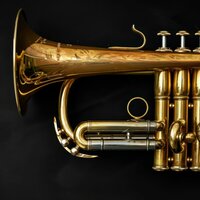 Gentle Melodies Calm Furry Ears - Dreamy Music & Music for Pets Playlist & Music My Pet