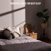 Little Wind - Insomnia Cure Music Society
