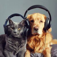 Alegre Tintineo De Mascotas - Especialistas en Música para Mascotas & Buenos dias musica & Música ligera de la mañana