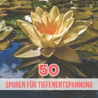 Endless Ocean (Ruhige See Wellen) - Entspannende SPA Musik Zone