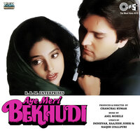 Main Hoon Zameen Tu Aasman - Anuradha Paudwal & Udit Narayan