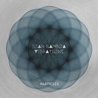 Muse - Ioan Gamboa