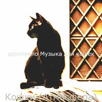 Настроения (Милые кошки) - даунтемпо Музыка для кошек