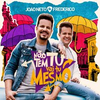Não Tem Tu, Vai Tu Mesmo - João Neto
