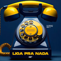 Liga pra Nada - DJ Mozart & Koyote MC & MinaV