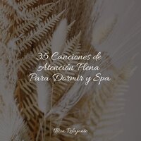 Un Día Tranquilo - Musica relajante con sonidos de la naturaleza & Musica Para Dormir y Sonidos de la Naturaleza & Ambiente