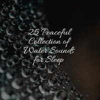Forest Sounds (Birds) - Massagem Guru & Sonidos de lluvia para dormir & Music For Absolute Sleep