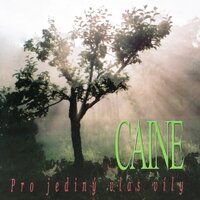 Staré lásky (z lásky) nerezaví - caine