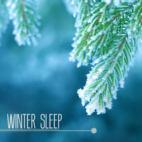 Song of Storms (Sea Sound) - Winter Sleep Music Academy