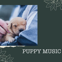 Reassuring Frame of Mind - Puppy Music & Puppy Music Therapy & Relaxing Music for Dogs