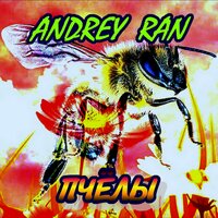 Пчёлы - Andrey Ran