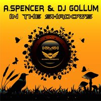 In the Shadows - A. Spencer & DJ Gollum