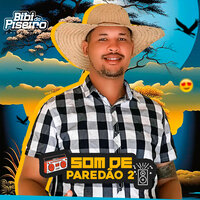 Mal Caminho - Bibi do Piseiro