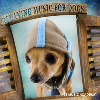 Dogs Life - Pet Music Academy