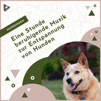 Weiches Ambiente für Welpen - Hundemusik & Entspannende Musik für Hunde & Beruhigende Welpenmusik