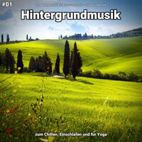 Hintergrundmusik pt. 20 - Entspannungsmusik Willi Antz & Schlafmusik & Entspannungsmusik
