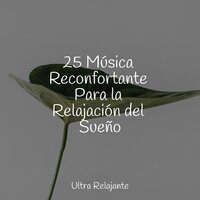 Por La Chimenea - Musica Relajante Specialistas & Musica Relajante & Especialistas de Musica para Dormir & Academia de Música para Massagem Relaxamento
