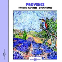 Grand Corbeau (Raven) - Pierre Huguet